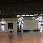 Karatelehrgang Juni 2020 18.jpg