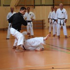 Karatelehrgang Juni 2020 30.jpg