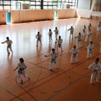 Karatelehrgang Juni 2020 36.jpg