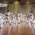 Karatelehrgang Juni 2020 41.jpg