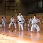 Karatelehrgang Juni 2020 5.jpg