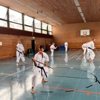 IMG_1024.jpeg